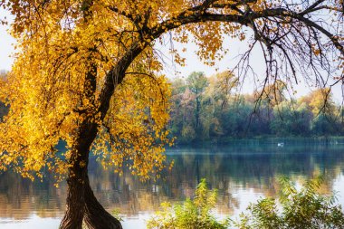 Kiev, Ukrayna parlak sonbahar