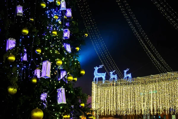 Árbol de Navidad en la Plaza Santa Sofía. Kiev, Ucrania —  Fotos de Stock