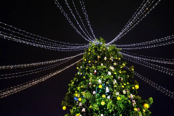 Árbol de Navidad en la Plaza Santa Sofía. Kiev, Ucrania —  Fotos de Stock