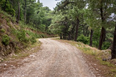 Ataviros peyzaj Mount ve yol. Rodos, Yunanistan