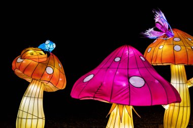 Kyiv, Ukrayna-19 Ocak 2020: Ukrayna 'nın Kyiv kentinde Çin fenerleri festivali