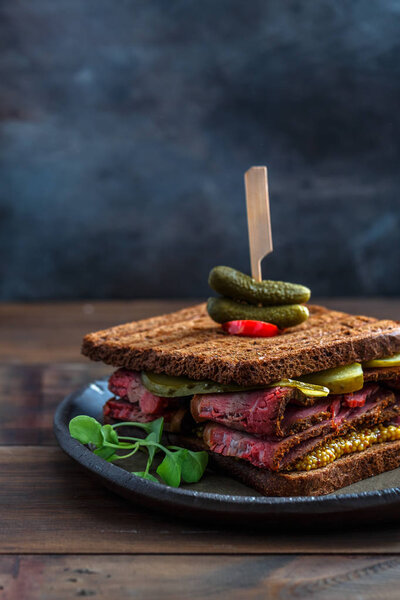 Close view of beef pastrami sandwich isolated