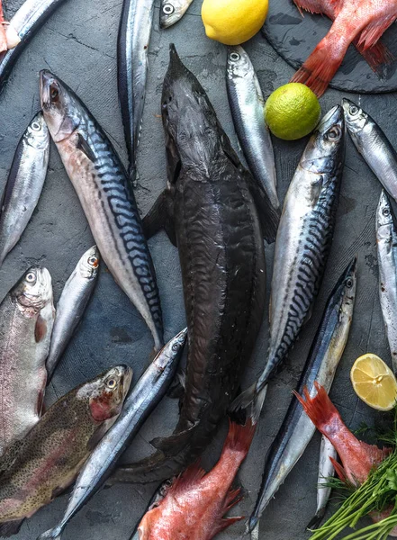 Assortimento di pesce fresco su sfondo scuro, vista dall'alto — Foto Stock