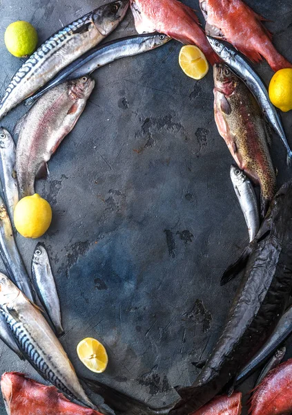 어두운 배경, 평면도에 신선한 생선의 구색 — 스톡 사진