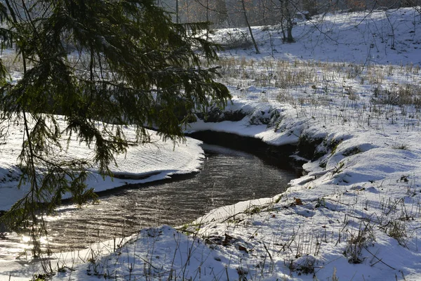 Arroyo en el bosque de invierno — Foto de Stock