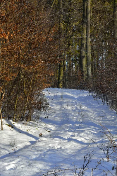 Strada innevata — Foto Stock