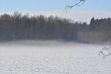 alan üzerinde sis gezinen