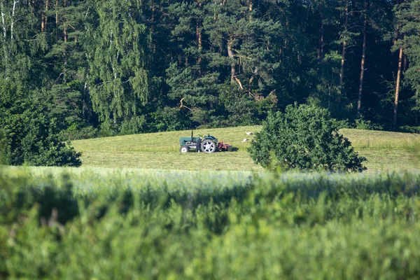 Haymaking