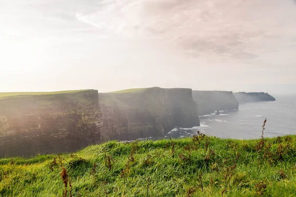 Acantilados de Moher Fotos De Stock