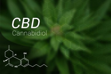 CBD Cannabidiol Oil Formula on Marijuana Leaf BackGround clipart
