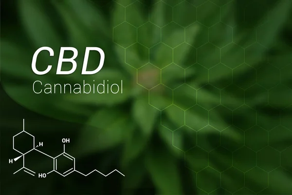 Cbd Cannabidiol-Öl-Formel auf Marihuana-Blatt Hintergrund — Stockfoto