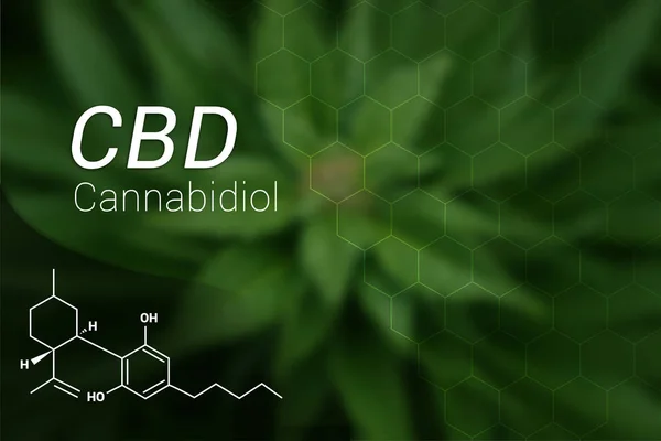 Формула CBD Cannabidiol Oil на марихуане Leaf BackGround — стоковое фото