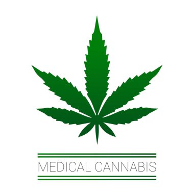 Tıbbi marihuana yaprağı | Beyaz zemin üzerine yeşil esrar yaprak