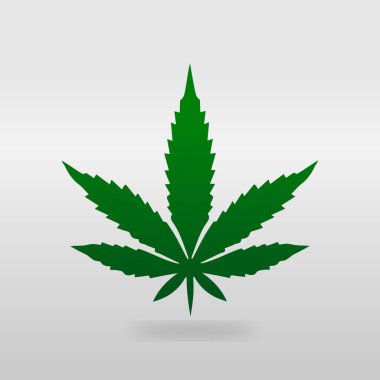 Marihuana yaprağı | Gri zemin üzerine yeşil esrar yaprak