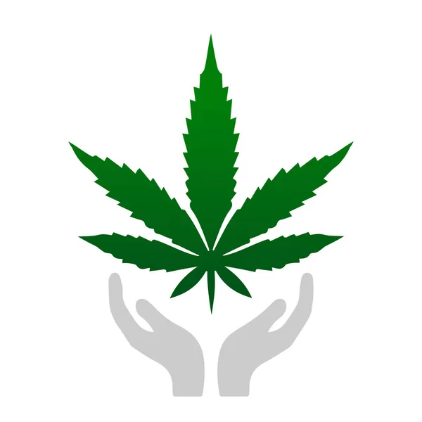 Foglia di marijuana con foglie di cannabis alle mani su sfondo bianco — Vettoriale Stock