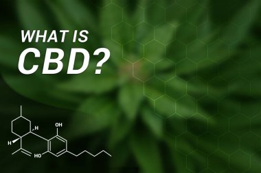 Cbd nedir? | CBD Cannabidiol | Tıbbi esrar | Esrar