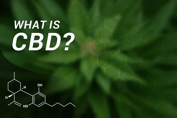 What is CBD? | CBD Cannabidiol | Medical Marijuana | Cannabis — Stock Photo, Image