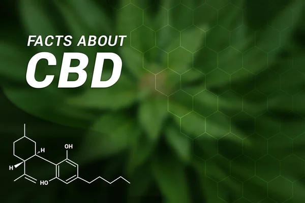 Facts about CBD | CBD Cannabidiol | Medical Marijuana | Cannabis — Stock Photo, Image