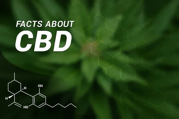 Cbd hakkında bilgiler | CBD Cannabidiol | Tıbbi esrar | Esrar