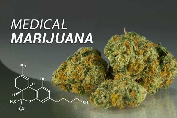Marihuana Imagen de la marihuana Titulo de la marihuana medicinal de la jalá Cannabis — Foto de Stock