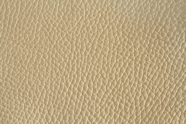 Licht beige gekleurde koe leder texture. Closeup — Stockfoto