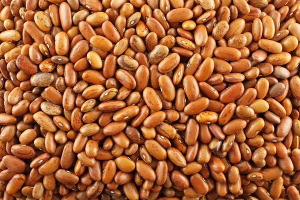 Jídlo pozadí - syrové světle hnědé fazole — Stock fotografie