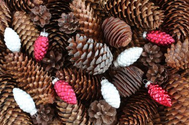 Kahverengi çam kozalakları ve oyuncak gümüş ve kırmızı kurutulmuş konileri arka plan