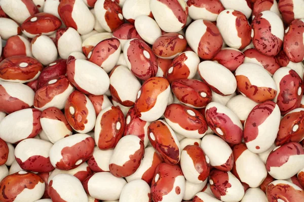 Latar belakang makanan - merah mentah dengan kacang ginjal berbintik putih — Stok Foto