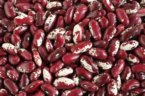 Food background - raw red with white speckled kidney beans — Stock Photo, Image