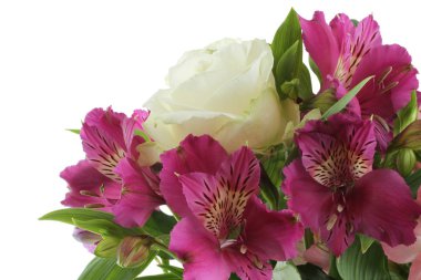 Büyük beyaz gül ve beyaz arka plan üzerinde izole pembe ve Lila alstroemeria çiçek buketi                   