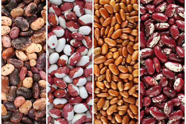 Kidney beans collage - raw beige with brown, white with red, light brown and purple with white speckled kidney beans