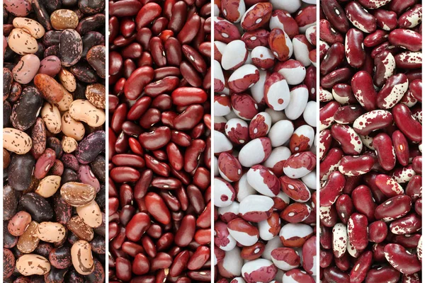 Kidney beans collage - raw purple, pink, beige with brown, white with red speckled kidney beans