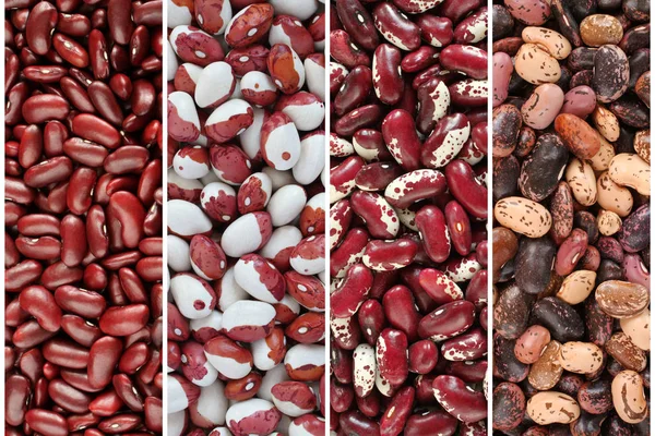 Kidney beans collage - raw purple, white with red, purple with white and pink with brown speckled kidney beans