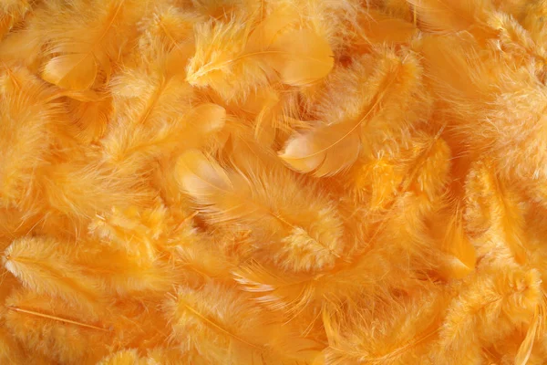 Background - small yellow plumes situated irregularly — Stock Photo, Image