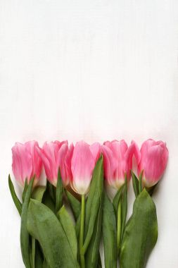 Beş Pembe Lale çiçek beyaz boyalı ahşap tablo