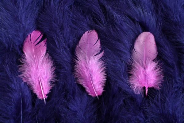 Trois plumes roses couchées sur un fond de plumes bleu marine — Photo