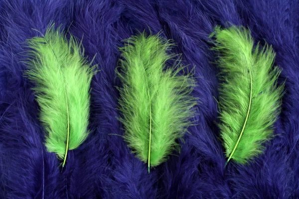 Três penas verdes claras deitadas em um fundo de penas azuis marinhas — Fotografia de Stock