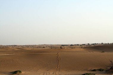 Çölde akşam üstü. Kum tepeleri