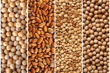 Organik baklagiller kolajı - kuru sarı bezelyeler, kahverengi böbrek fasulyeleri, yeşil mercimek, nohut