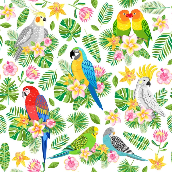 Parrot seamless pattern. Tropical, jungle bird background
