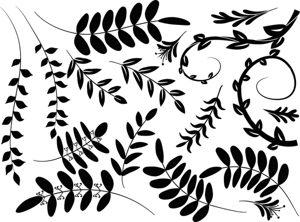 Çizim bitki ve yaprak kenarlıklı — Stok fotoğraf