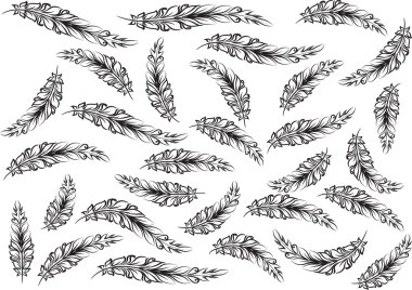 güzel duvar kağıdı tüy