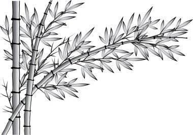 Bambu çizim kalp şekli 