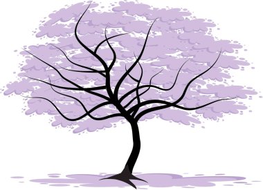 uzun ağaçlar çiziyor