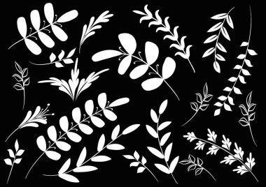 arka plan ile yaprak