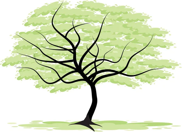 Beautiful big tree drawing — Stock Photo, Image