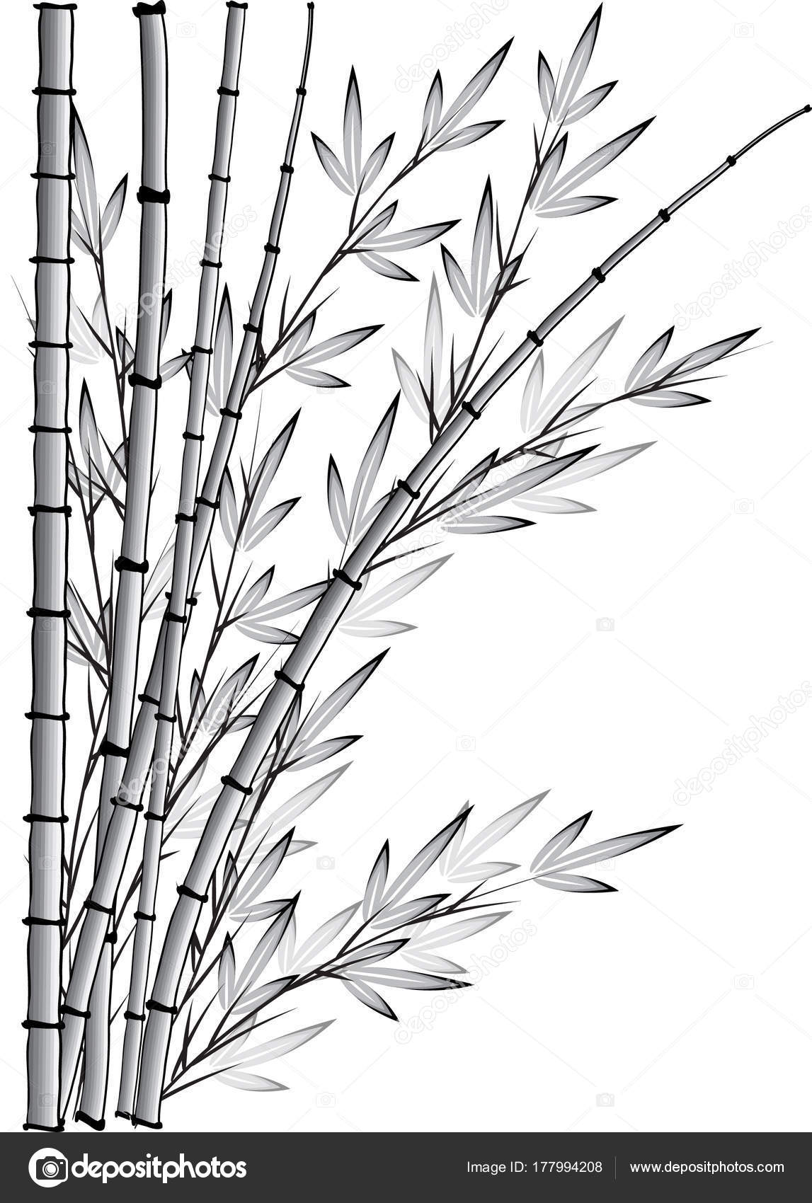 Creative Sketch Bamboo Drawing for Adult
