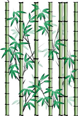 Bambu ağacı vektör çizim