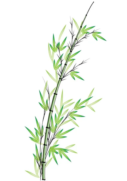 Dessin Vectoriel Arbre Bambou — Image vectorielle