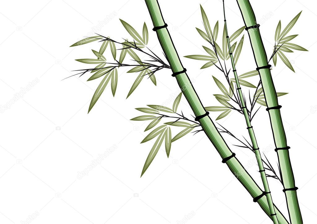 bamboo tree vector drawing